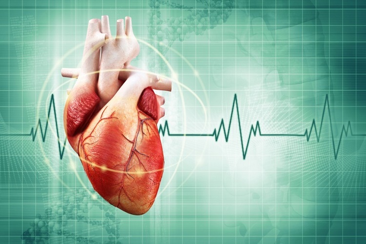 ضربان آهسته قلب یا برادی‌کاردی Bradycardia چیست؟