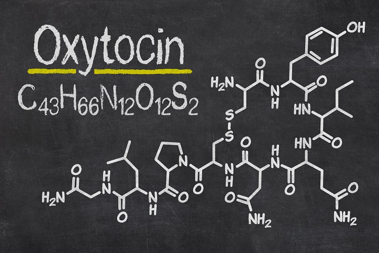 نکاتی جالب در هورمون اکسی‌توسین Oxytocin یا هورمون عشق