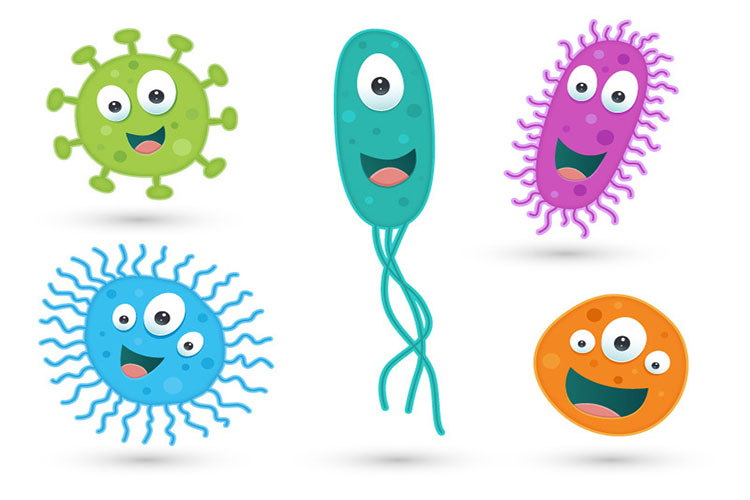 میکروبیوم چیست و چرا میکروبیوم روده برای سلامت ما حیاتی است؟