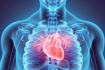 درباره نارسایی قلبی چه می‌دانید؟
