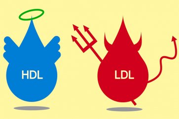 تفاوت بین کلسترول HDL و LDL چیست؟