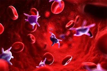 فاکتور MPV یا حجم متوسط پلاکت در آزمایش خون، نشانه چیست؟